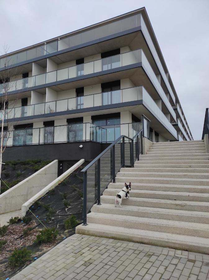 Alexis Apartament Dziwnów 外观 照片
