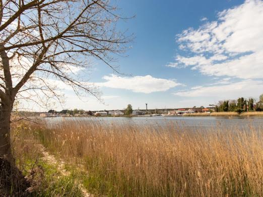 Alexis Apartament Dziwnów 外观 照片